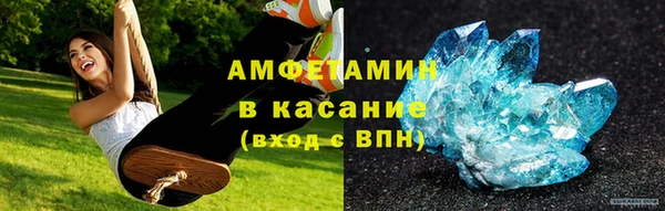 индика Алзамай