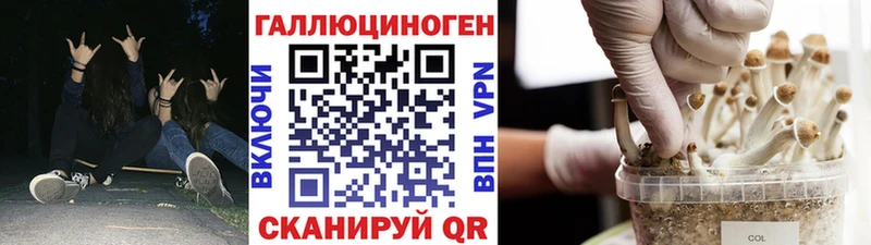 Псилоцибиновые грибы Psilocybe  что такое наркотик  нарко площадка какой сайт  Фролово 