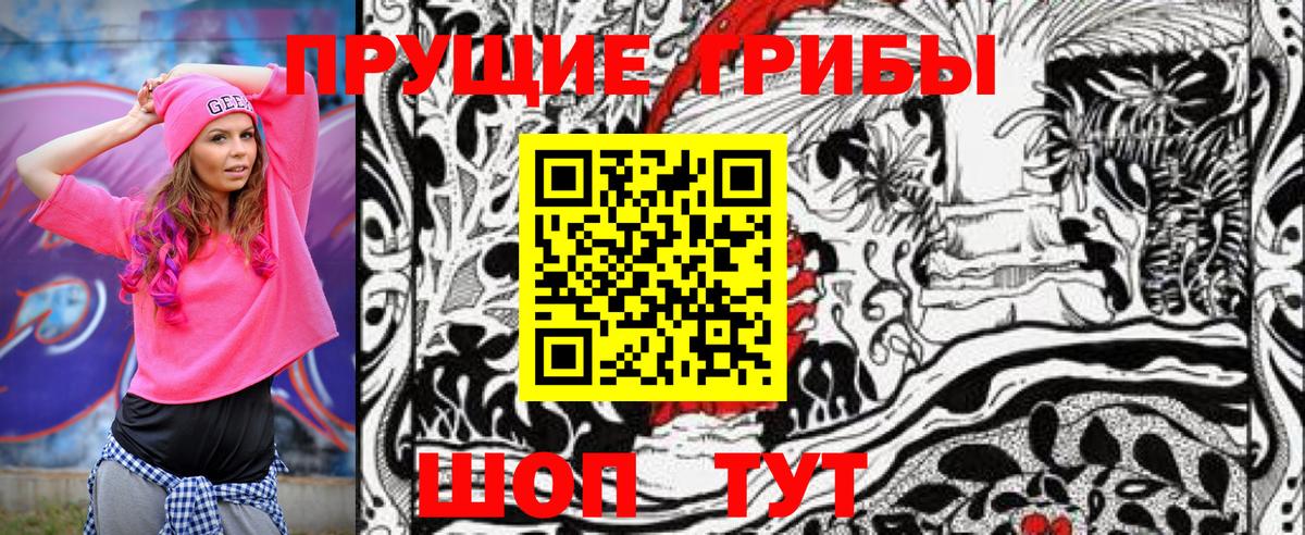 Фролово  где продают   Вход с VPN  Галлюциногенные грибы прущие грибы 