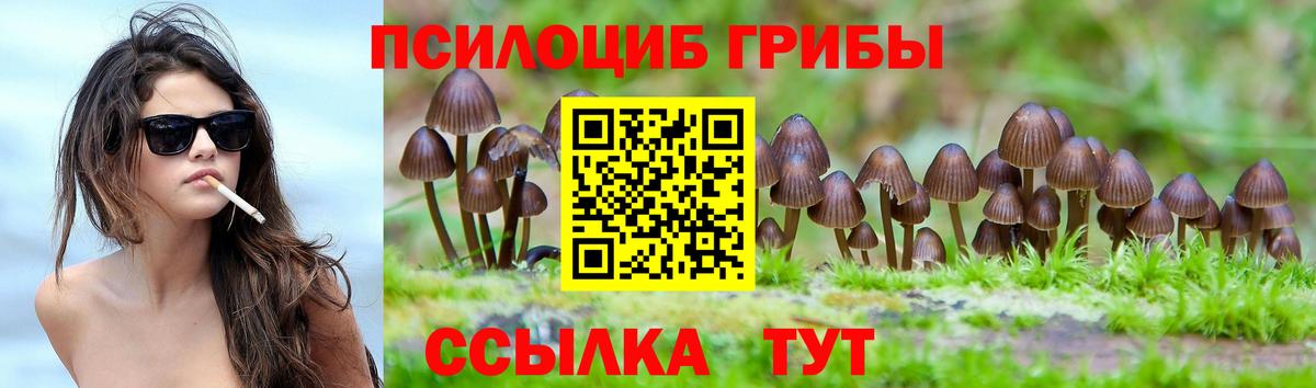 Псилоцибиновые грибы прущие грибы Фролово